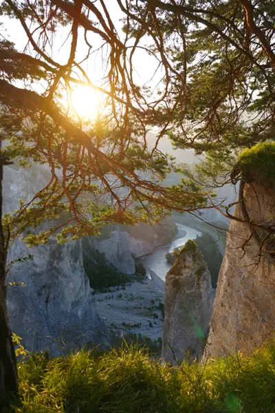 Rheinschlucht